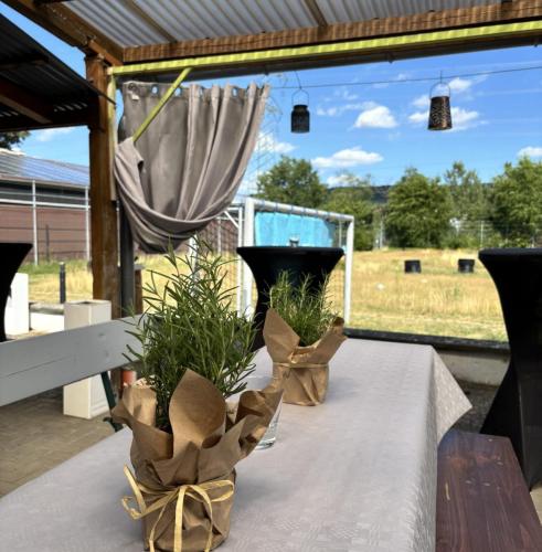 LocationTerrasse2